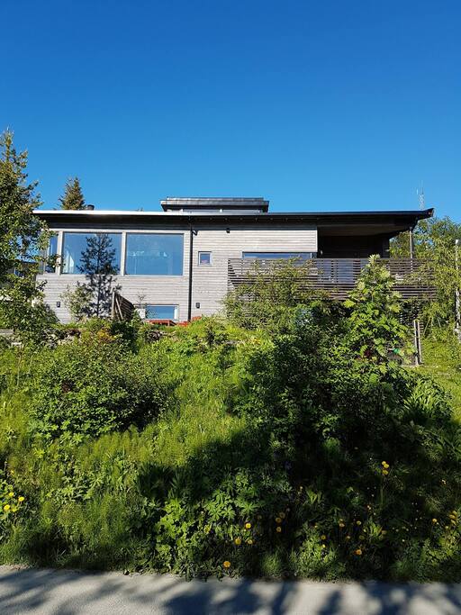 The house.