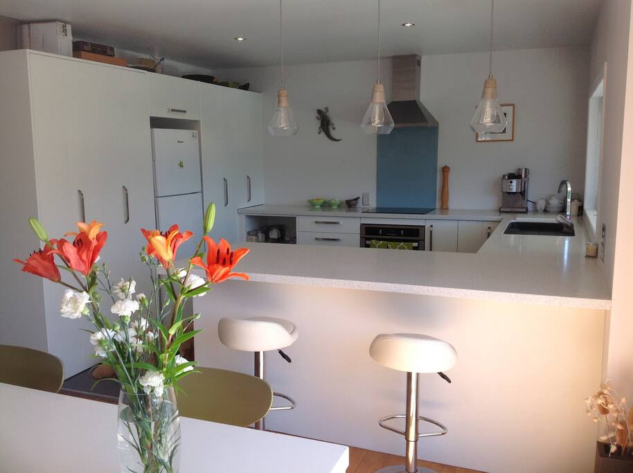 Well equipped entertainers kitchen