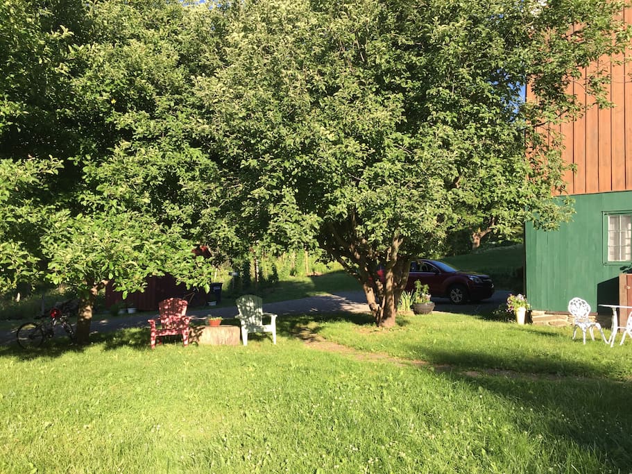 Enjoy a cold drink under the apple trees.