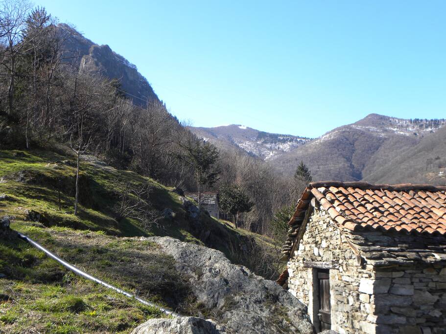 The hinterland