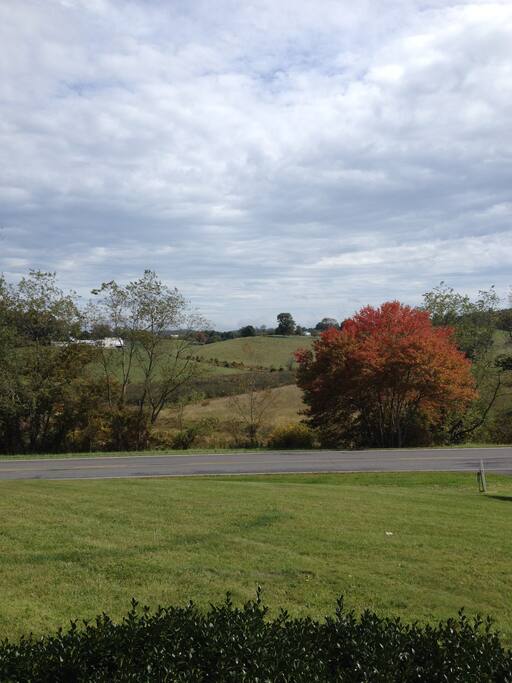 Beautiful view from front porch.
