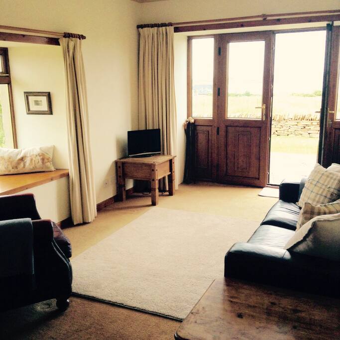 Living room and entrance