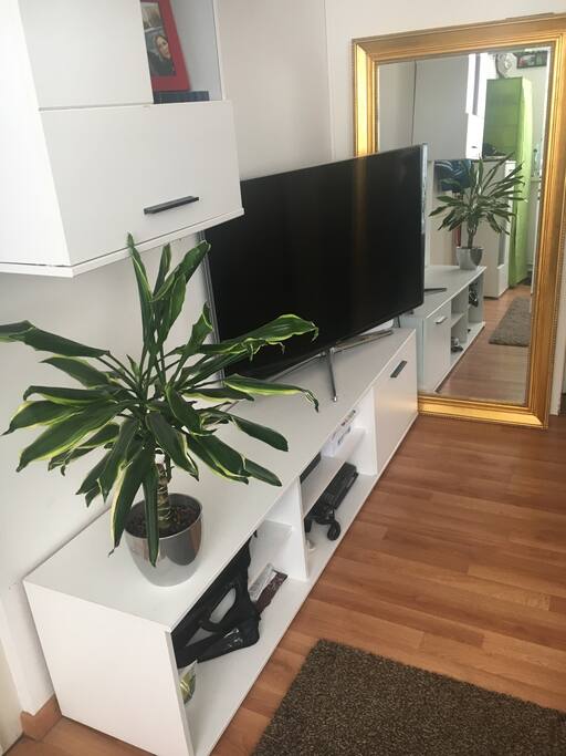 TV eck
