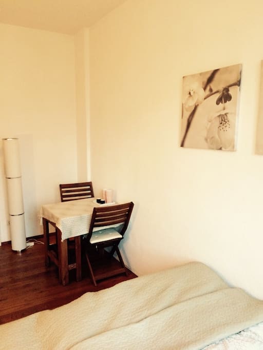 Geräumiges Zimmer in Jugendstiel-Wohnunh mit Blick auf den Kanal, direkt in der Innenstadt