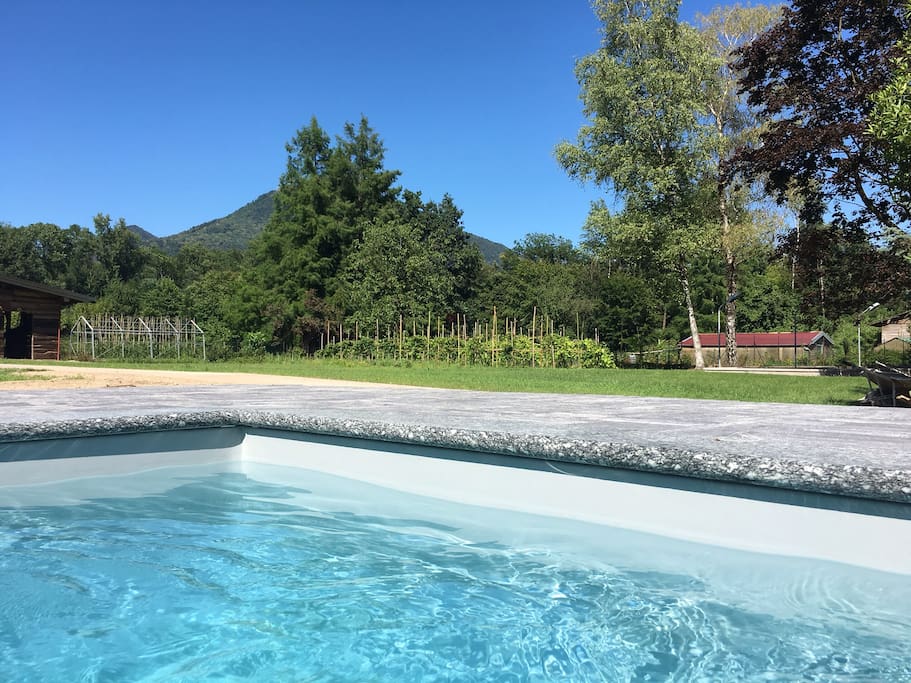 swim and vineyard