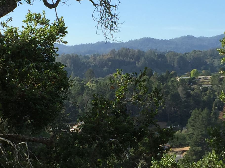 view from the bedroom window. Sigh....