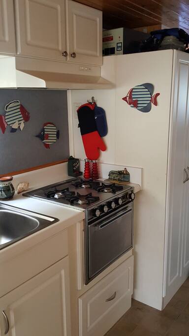 Gas stove