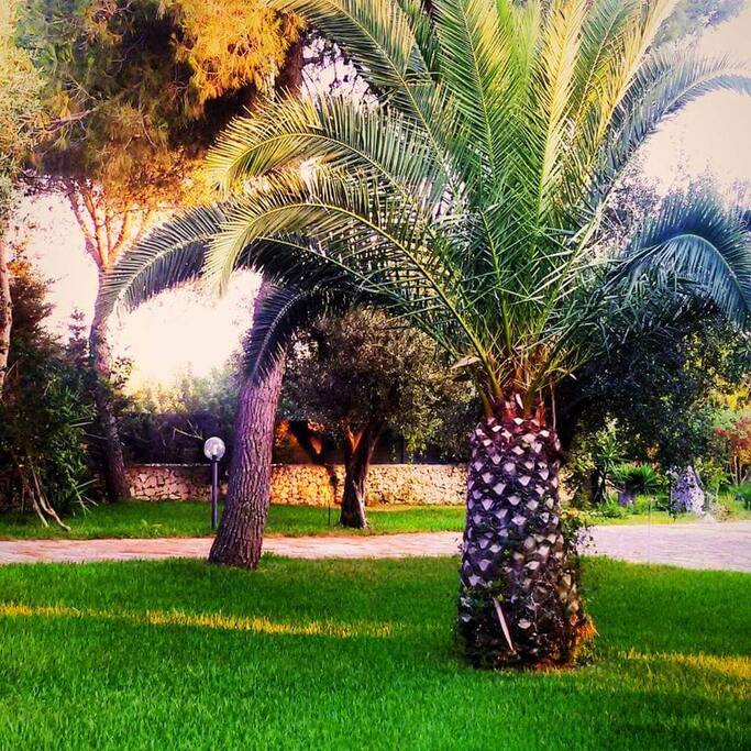 Giardino.