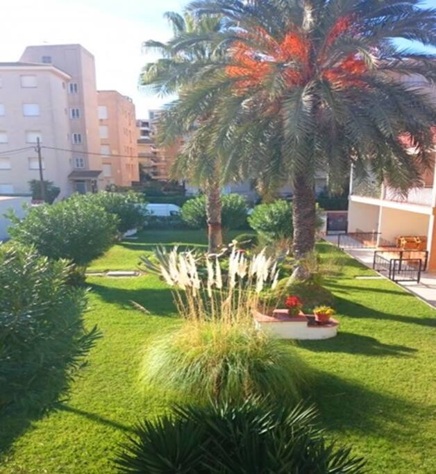 Jardin / Garden / Cад