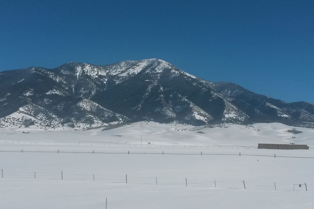 Guest Room View