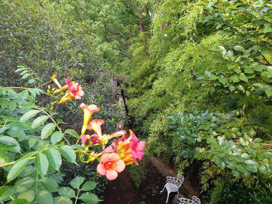 front yard-view from top(2nd floor terrace)