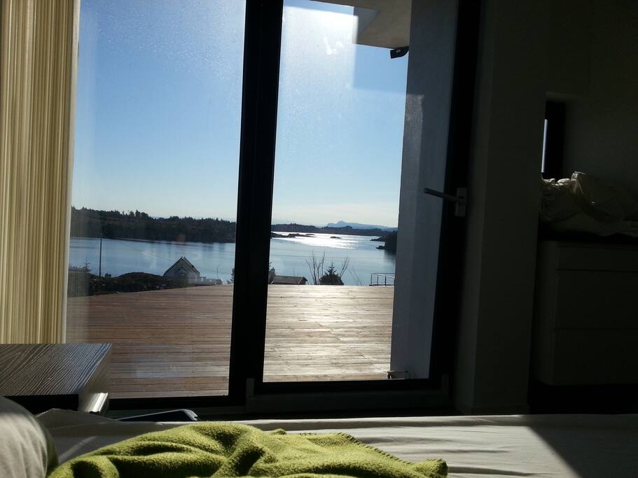 Morning view from bed