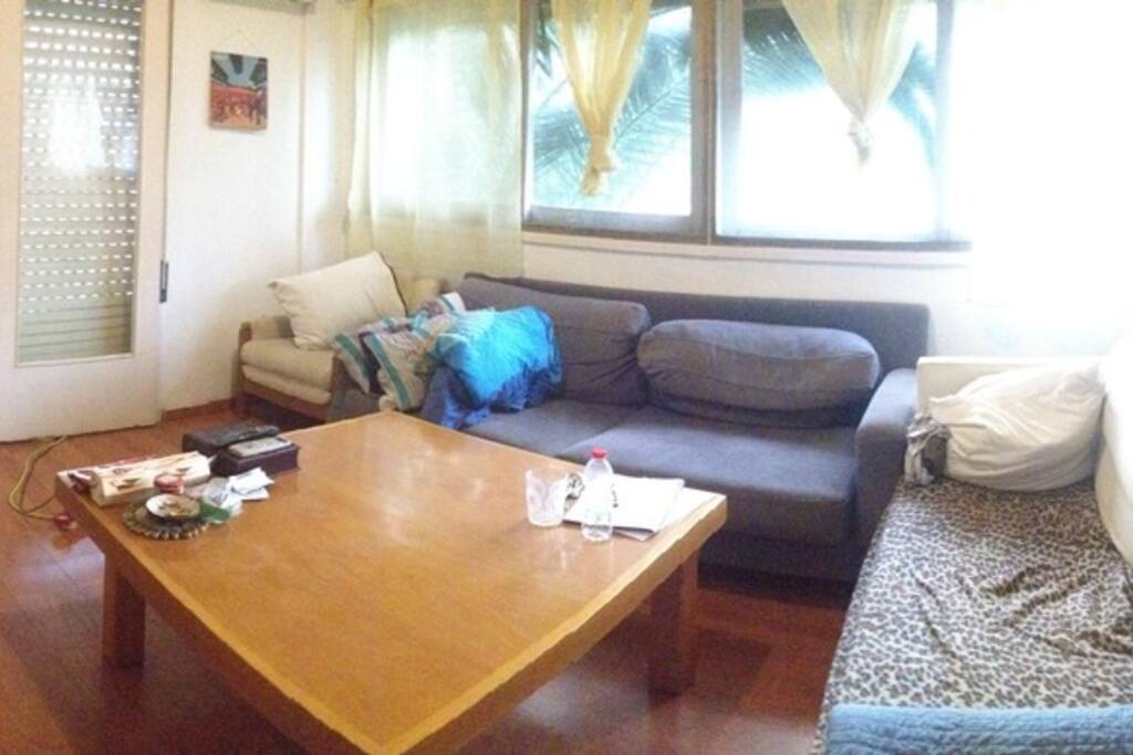 the comfortable sofas in the livingroom
