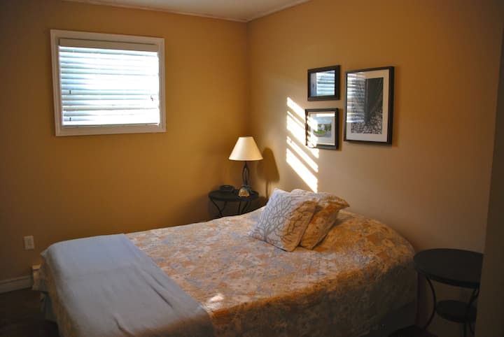 Chambre avec un lit queen size
