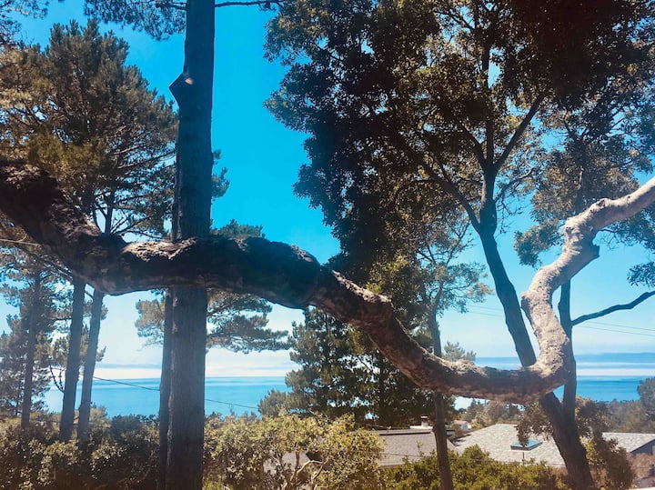 Cambria Vacation Rentals House and Condo Rentals Airbnb