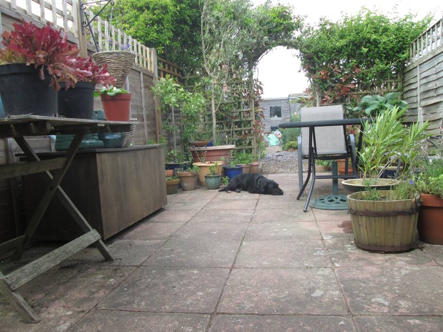 Rudi the dog has several favourite spots to relax