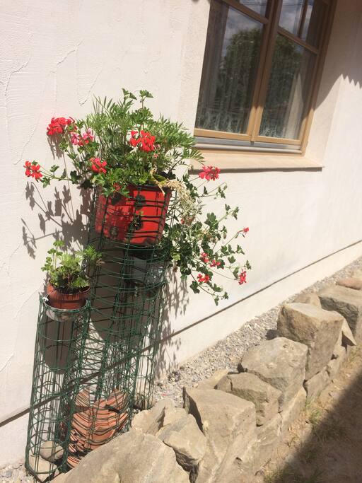 Outside the house