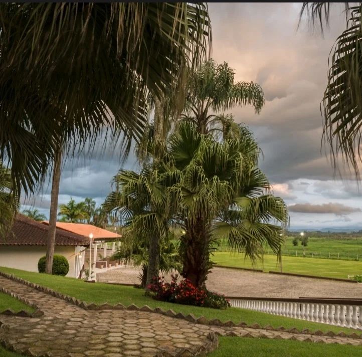 A stone pathway winds through lush green grass, bordered by palm trees and flowering plants. In the distance, open fields and a cloudy sky create a serene backdrop. A house with a tiled roof is visible to the left, blending into the tranquil landscape.