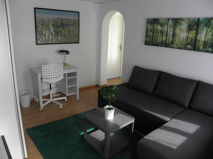 ห้องนอน/ห้องนั่งเล่นสวยงามพร้อมโต๊ะทำงาน