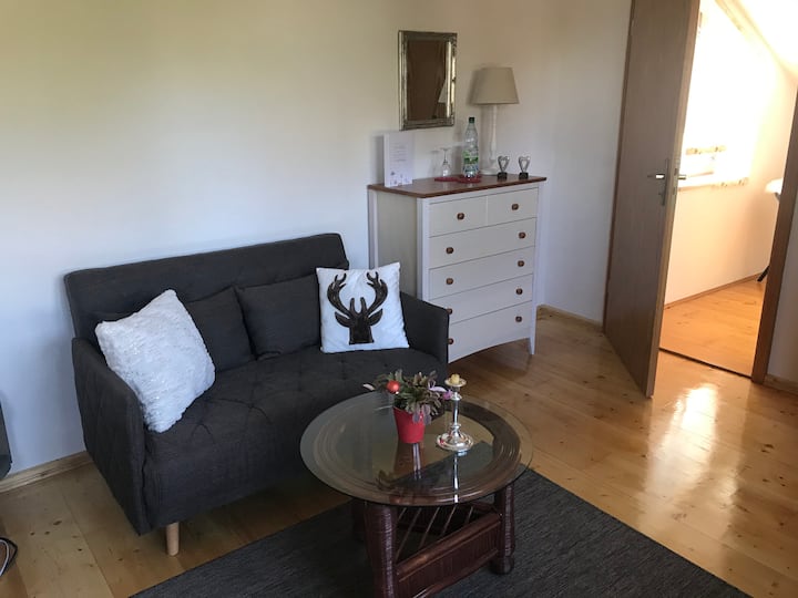 Всекидневна/спалня с достъп до терасата 