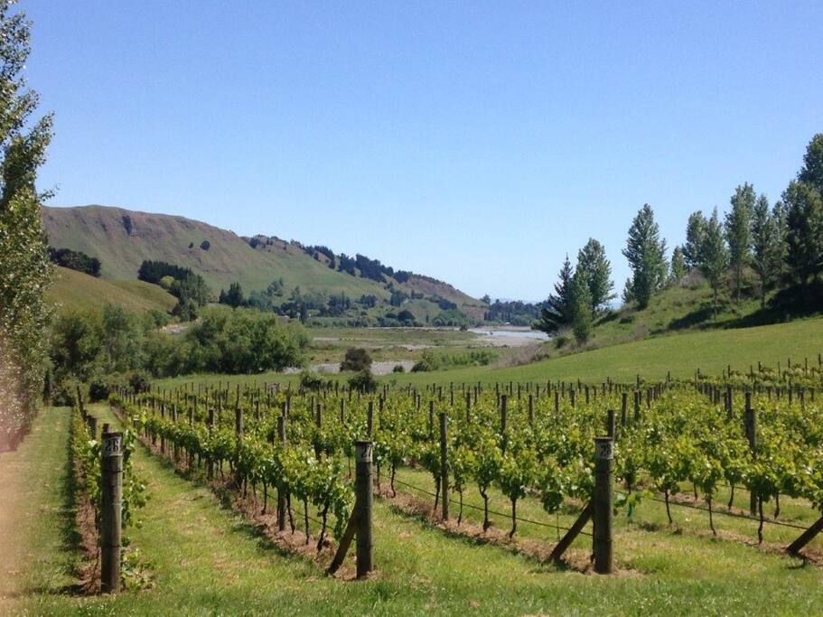 Private vines