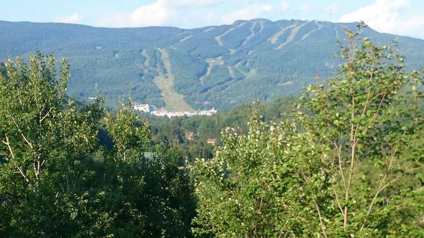 P5 Studio, tremblant, mountain view