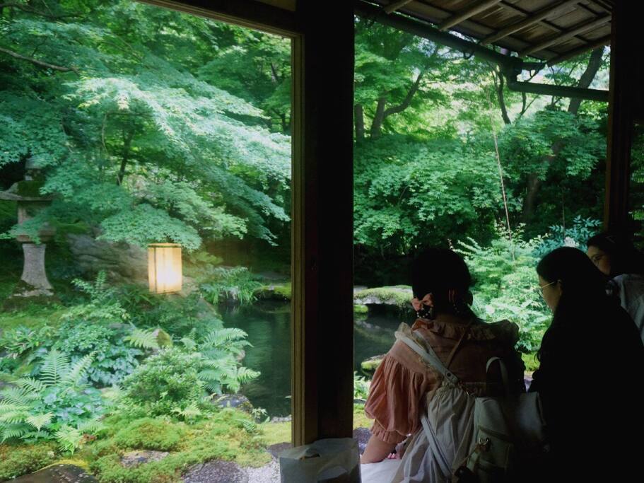 Travel 京都 千万不要错过季节限定的琉璃光院 京都旅游攻略 尽在airbnb爱彼迎 Travel 京都 千万不要错过季节限定的琉璃光院 京都旅游攻略 尽在airbnb爱彼迎