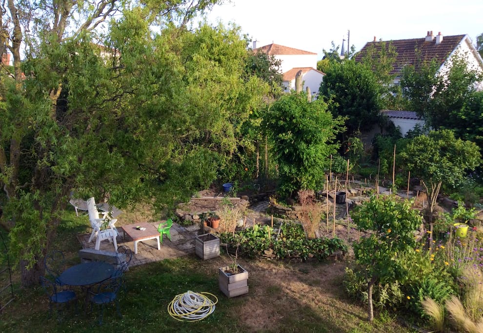 Jardin potager