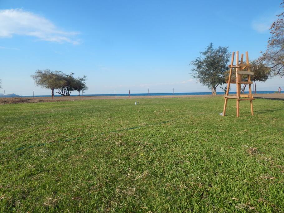 A 200m beach with lots of hippos