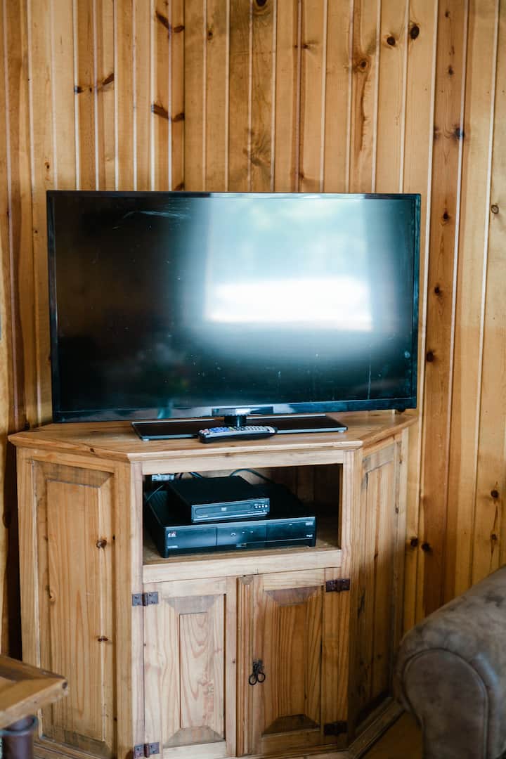 טלוויזיה עם רשת כלים ונגן DVD