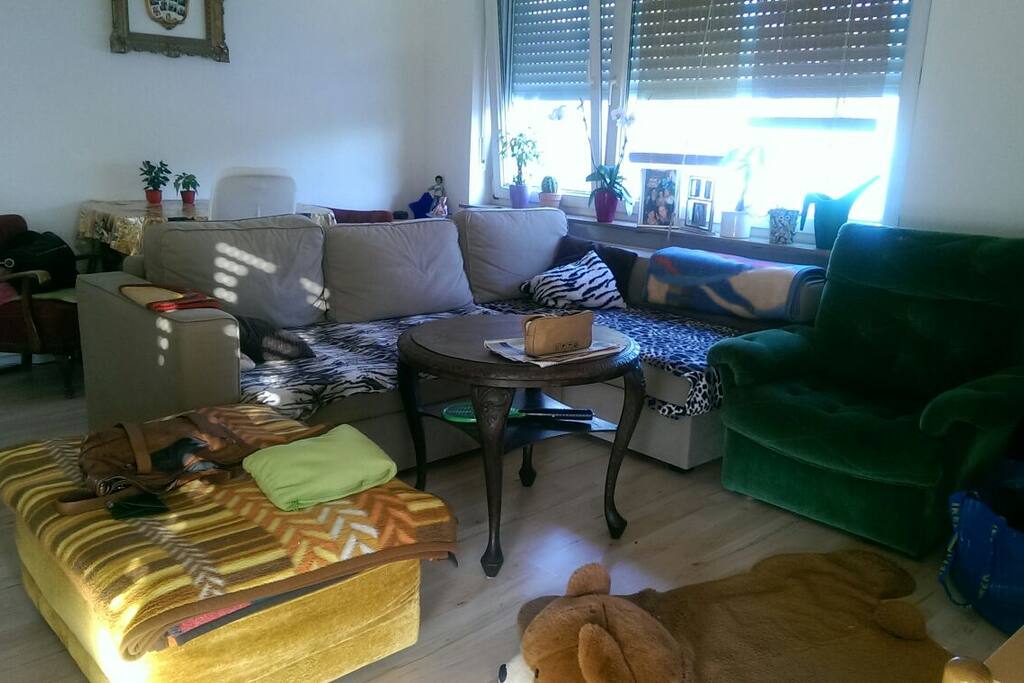 Wohnzimmer und Schlafsofa