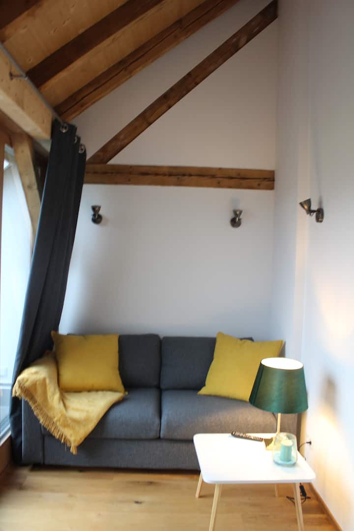 Neu Renovierte Ferienwohnung In Ehem. Bauernhaus - Lustenau