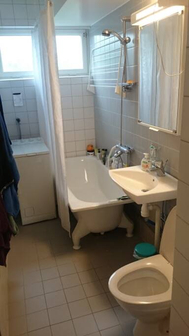 Bathroom with bath tub and washing machine