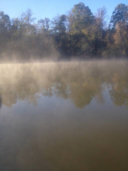 The property is surrounded by a wetland full of wildlife.