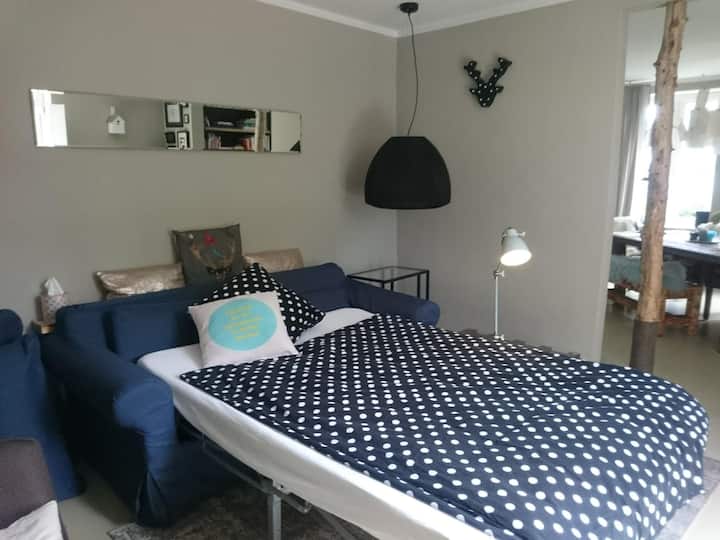 Sovesofa i stuen