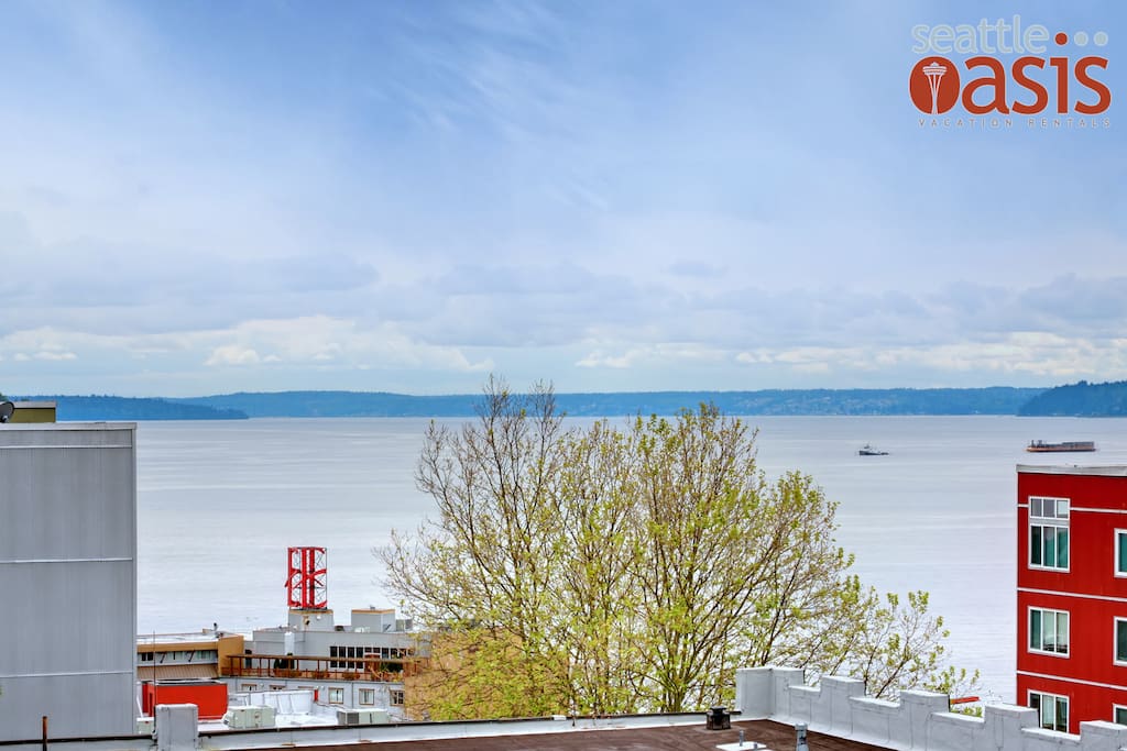 No matter the weather, Elliot Bay is a sight to behold.