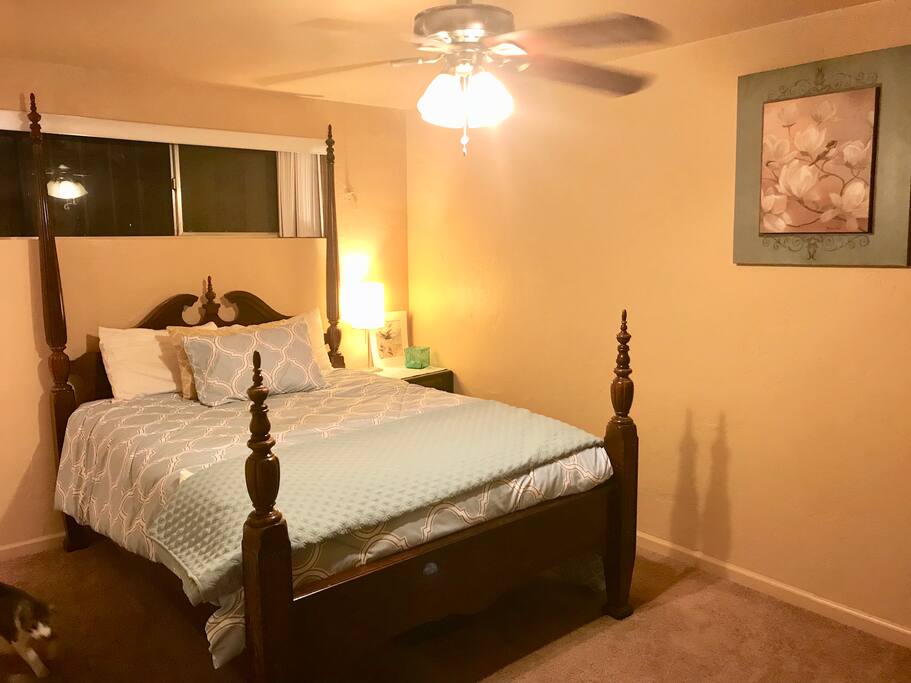 Master Bedroom with attached bathroom