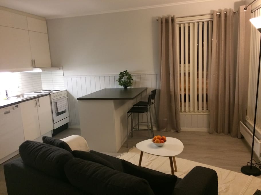 Livingroom / kitchen
