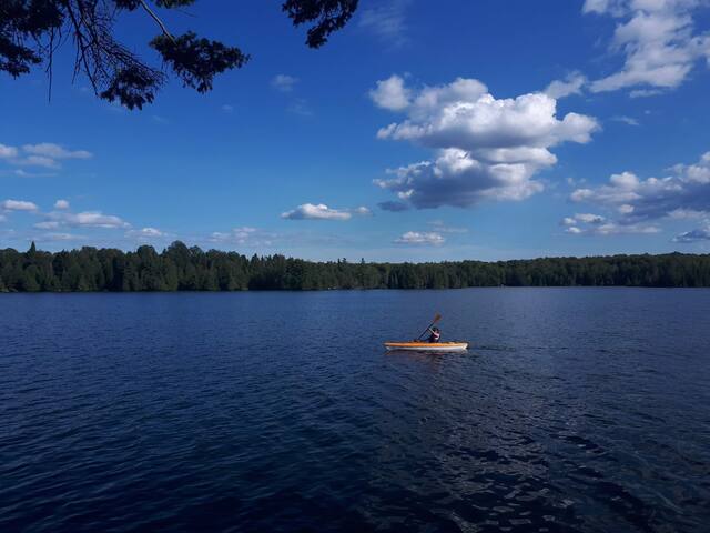 Privacy, crystal clear water, surrounded by trees
