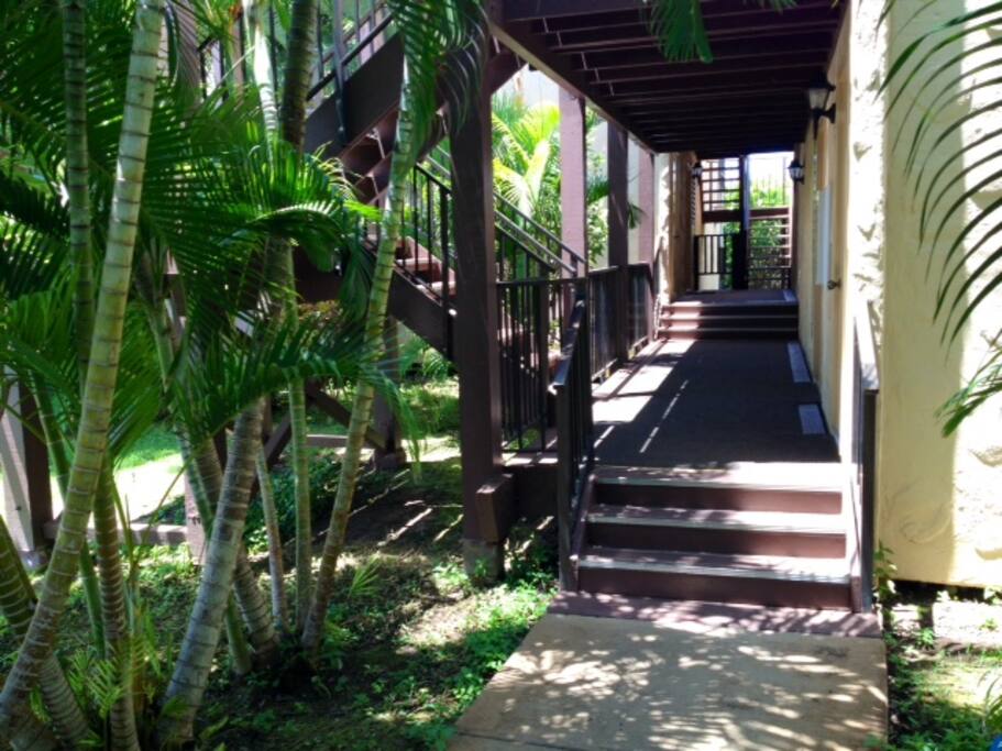 Steps and walkway leading to front door