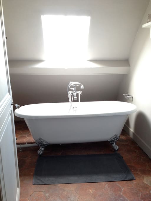 baignoire sous le ciel dans une salle de bain retro / bathroom with english and vintage decoration