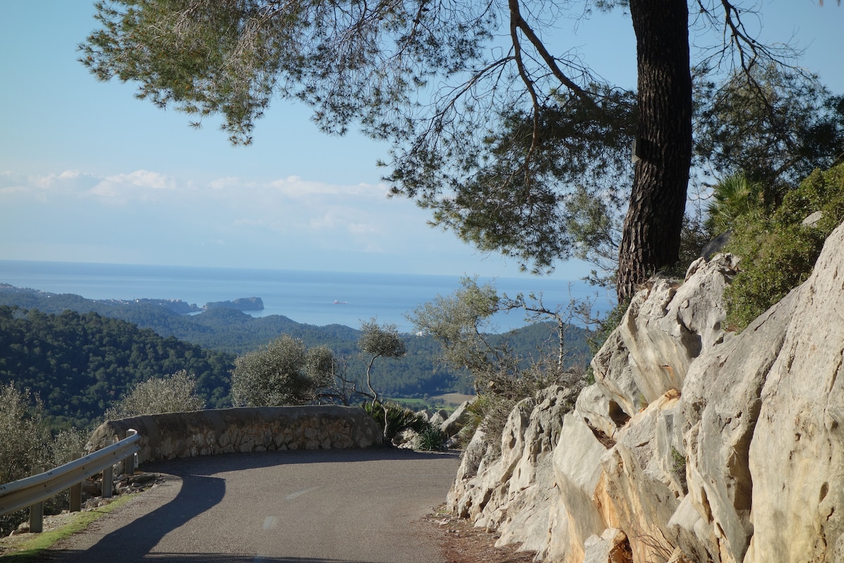 A winding mountain road is framed by tall pine trees and rocky terrain, leading to a view of the distant sea. The horizon reveals gentle waves, enhancing the serene landscape and inviting exploration of the surrounding natural beauty.