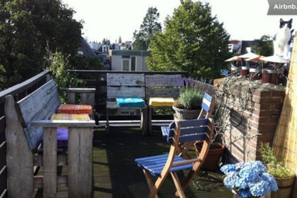 Sunny Roof