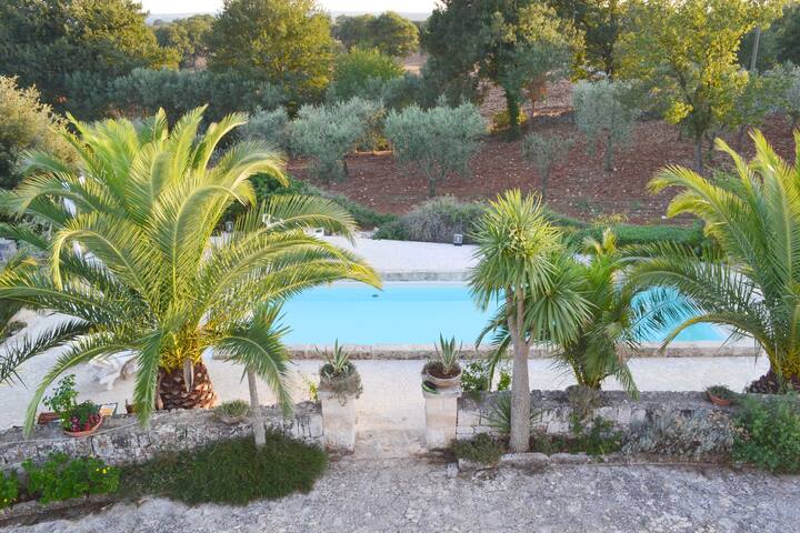 EXECUTIVE APULIA ESTATE gallery image 5