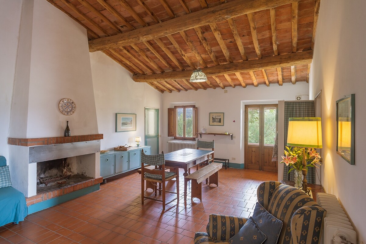 Proprietà Airbnb di successo: Large apartment in a sustainable farm in Tuscany a Palaia