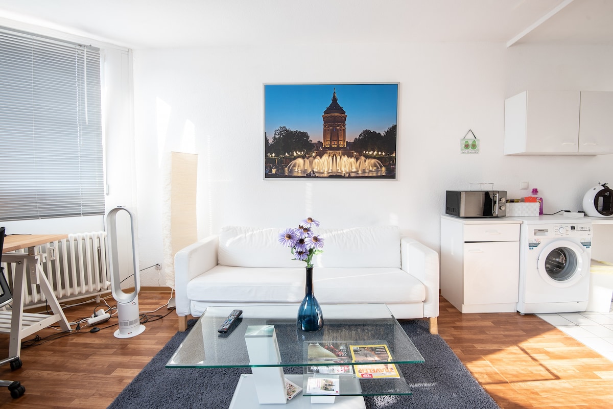 Mannheim Vacation Rentals | Airbnb