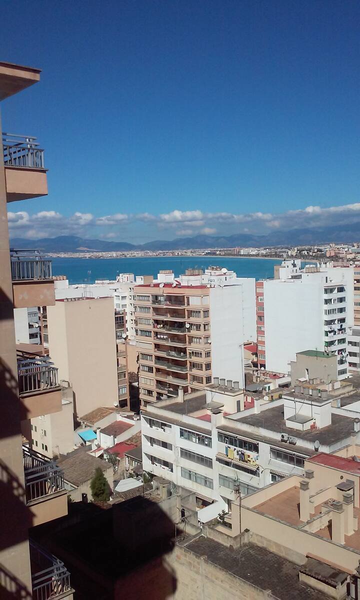 Apartments To Rent In Majorca