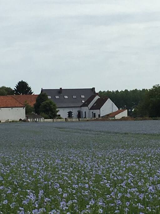 Vue de la façade avant