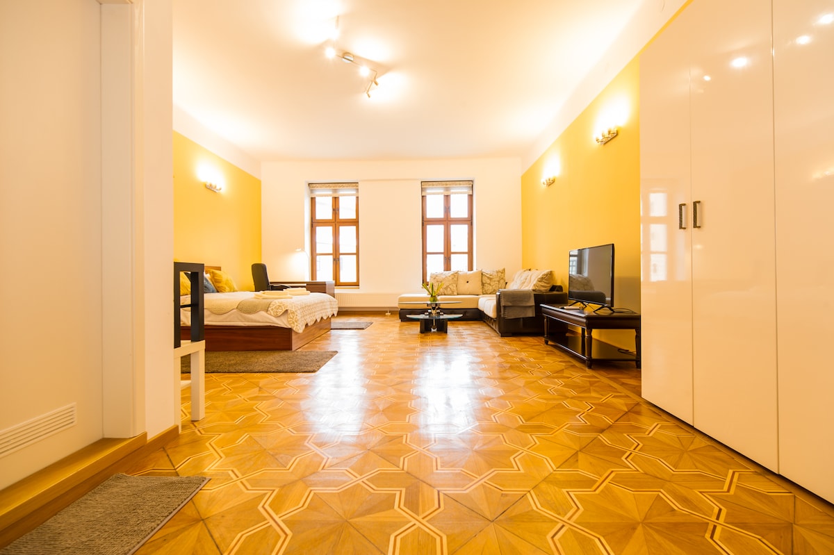 单间公寓A卧室/客厅