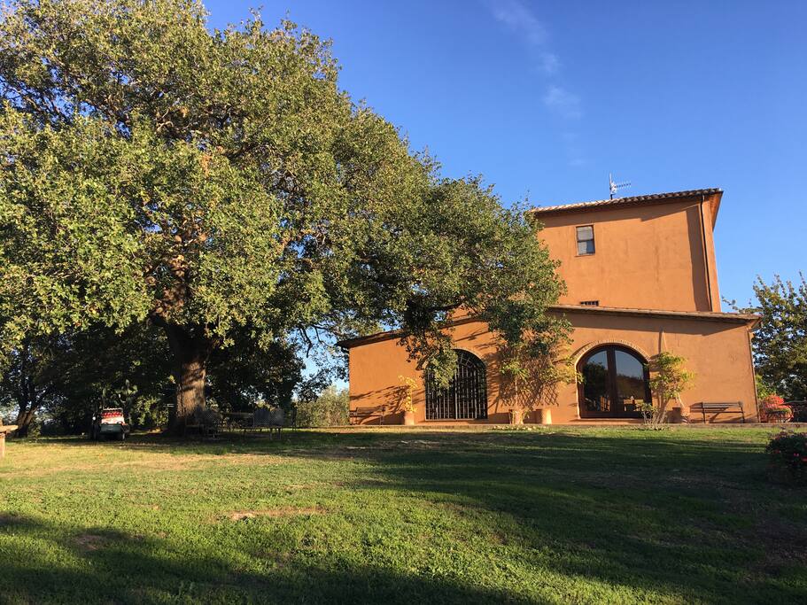 Il casale e la quercia secolare